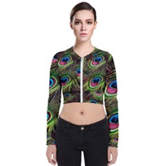 Peacock-feathers-color-plumage Long Sleeve Zip Up Bomber Jacket by Celenk