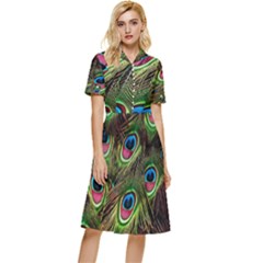 Peacock-feathers-color-plumage Button Top Knee Length Dress by Celenk