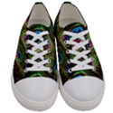 Peacock-feathers-color-plumage Men s Low Top Canvas Sneakers View1