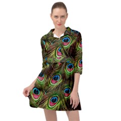 Peacock-feathers-color-plumage Mini Skater Shirt Dress by Celenk