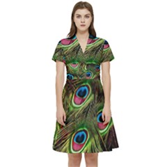 Peacock-feathers-color-plumage Short Sleeve Waist Detail Dress by Celenk