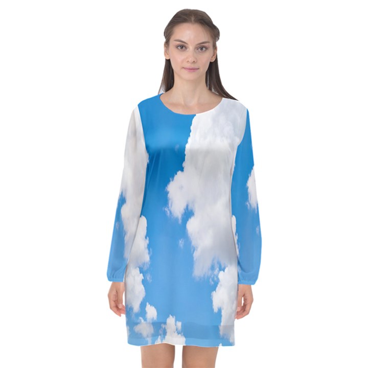 Cloudy Long Sleeve Chiffon Shift Dress 