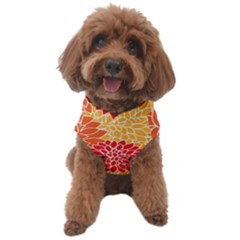 Background Colorful Floral Dog Sweater