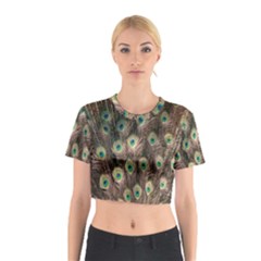 Bird-peacock Cotton Crop Top