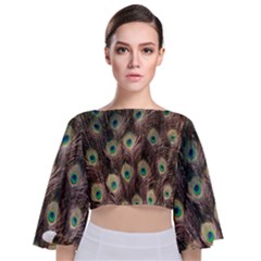 Bird-peacock Tie Back Butterfly Sleeve Chiffon Top by nateshop