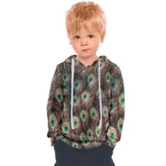 Bird-peacock Kids  Overhead Hoodie by nateshop