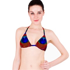 Peacock Plumage Fearher Bird Pattern Bikini Top by Sapixe