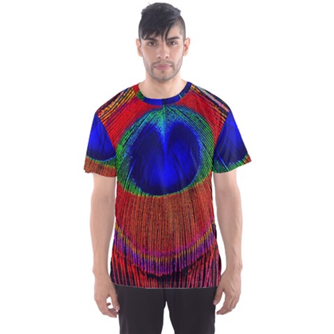 Peacock Plumage Fearher Bird Pattern Men s Sport Mesh Tee by Sapixe