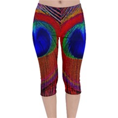 Peacock Plumage Fearher Bird Pattern Velvet Capri Leggings  by Sapixe