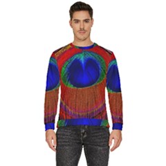 Peacock Plumage Fearher Bird Pattern Men s Fleece Sweatshirt by Sapixe