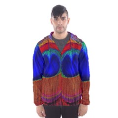 Peacock Plumage Fearher Bird Pattern Men s Hooded Windbreaker by Sapixe