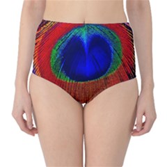 Peacock Plumage Fearher Bird Pattern Classic High-waist Bikini Bottoms