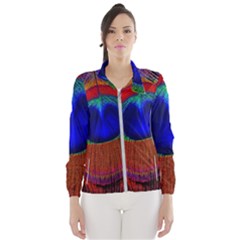 Peacock Plumage Fearher Bird Pattern Women s Windbreaker by Sapixe