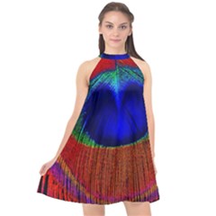 Peacock Plumage Fearher Bird Pattern Halter Neckline Chiffon Dress  by Sapixe