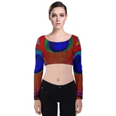 Peacock Plumage Fearher Bird Pattern Velvet Long Sleeve Crop Top by Sapixe