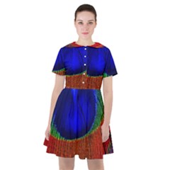 Peacock Plumage Fearher Bird Pattern Sailor Dress by Sapixe