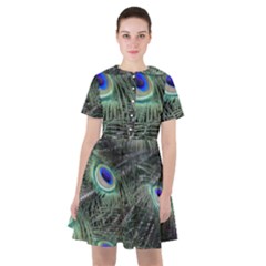 Plumage Peacock Feather Colorful Sailor Dress by Sapixe