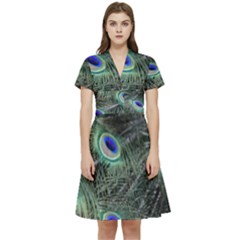 Plumage Peacock Feather Colorful Short Sleeve Waist Detail Dress by Sapixe