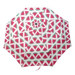 Illustration Watermelon Fruit-food Melon Folding Umbrellas by Sapixe