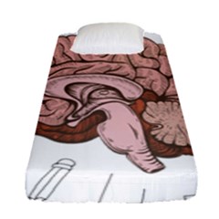 Cerebrum Human Structure Cartoon Human Brain Fitted Sheet (single Size) by Sapixe