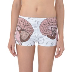 Cerebrum Human Structure Cartoon Human Brain Boyleg Bikini Bottoms