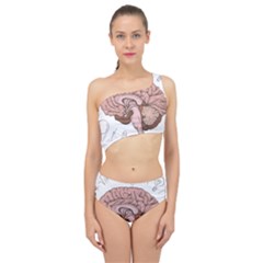 Cerebrum Human Structure Cartoon Human Brain Spliced Up Two Piece Swimsuit by Sapixe