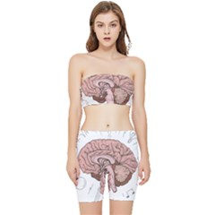 Cerebrum Human Structure Cartoon Human Brain Stretch Shorts And Tube Top Set by Sapixe