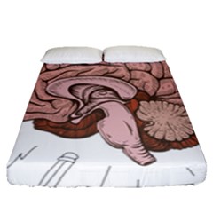 Cerebrum Human Structure Cartoon Human Brain Fitted Sheet (queen Size) by Sapixe