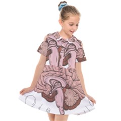 Cerebrum Human Structure Cartoon Human Brain Kids  Short Sleeve Shirt Dress by Sapixe