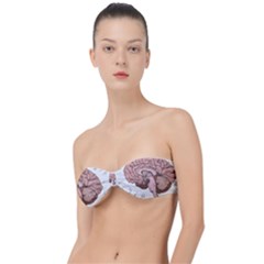 Cerebrum Human Structure Cartoon Human Brain Classic Bandeau Bikini Top  by Sapixe