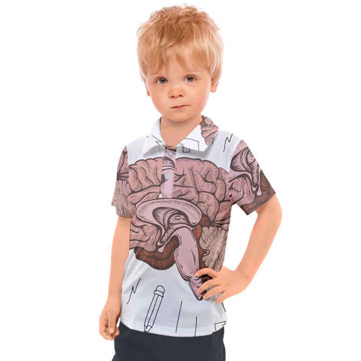 Cerebrum Human Structure Cartoon Human Brain Kids  Polo Tee