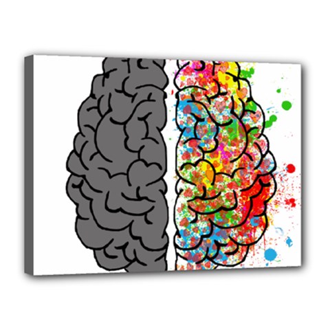 Brain Mind Psychology Idea Hearts Canvas 16  X 12  (stretched) by Sapixe