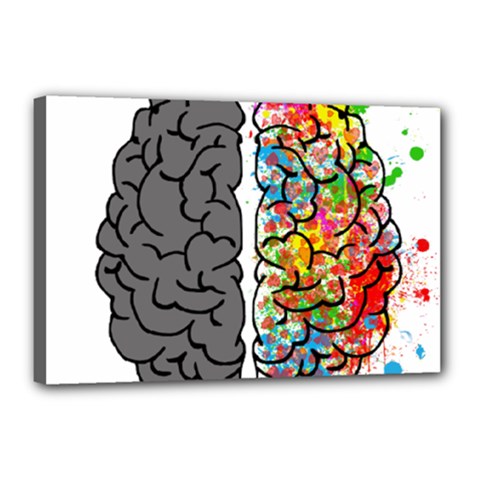 Brain Mind Psychology Idea Hearts Canvas 18  X 12  (stretched) by Sapixe