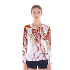 Animal Art Forms In Nature Jellyfish Women s Long Sleeve Tee