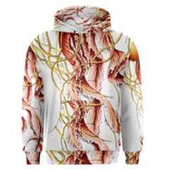 Animal Art Forms In Nature Jellyfish Men s Core Hoodie