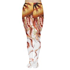 Animal Art Forms In Nature Jellyfish Tights