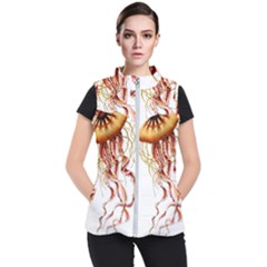 Animal Art Forms In Nature Jellyfish Women s Puffer Vest