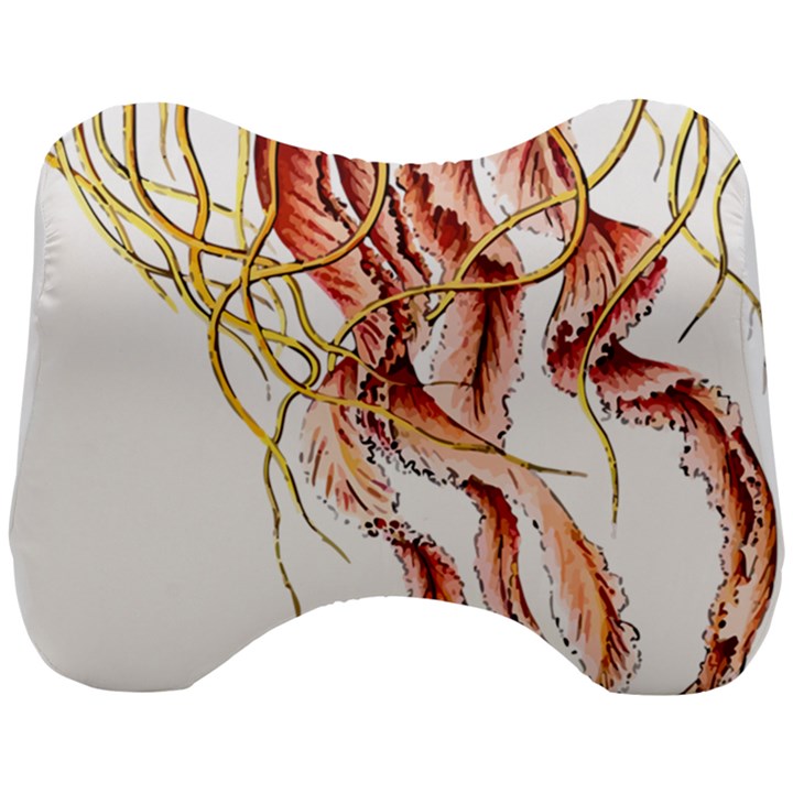 Animal Art Forms In Nature Jellyfish Head Support Cushion