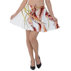 Animal Art Forms In Nature Jellyfish Velvet Skater Skirt