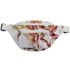 Animal Art Forms In Nature Jellyfish Fanny Pack by Sapixe