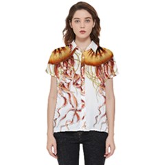 Animal Art Forms In Nature Jellyfish Short Sleeve Pocket Shirt by Sapixe