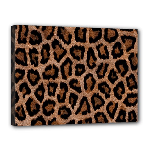 Paper-dark-tiger Canvas 16  X 12  (stretched) by nateshop