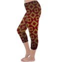 Antique Capri Winter Leggings  View2