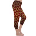 Antique Capri Winter Leggings  View3