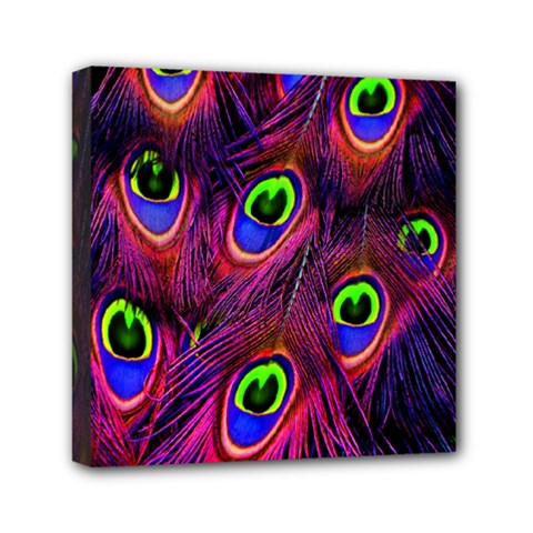 Peacock-feathers Mini Canvas 6  X 6  (stretched) by nateshop