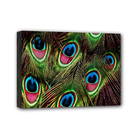 Peacock-army Mini Canvas 7  X 5  (stretched) by nateshop