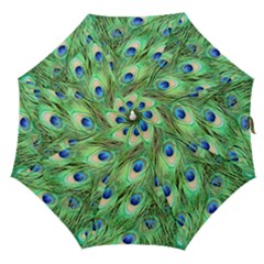 Peacock-green Straight Umbrellas by nateshop