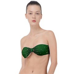 Background-star -green Classic Bandeau Bikini Top  by nateshop