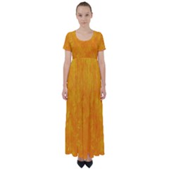 Background-yellow High Waist Short Sleeve Maxi Dress by nateshop