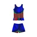 Red Peacock Plumage Fearher Bird Pattern Kids  Boyleg Swimsuit View1